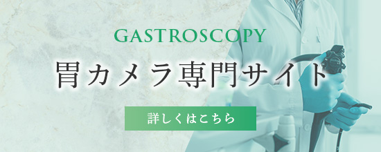 胃カメラ専門サイト